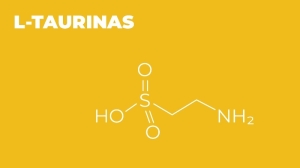 L-taurinas ir L-glutaminas – kodėl jie svarbūs mūsų organizmui?